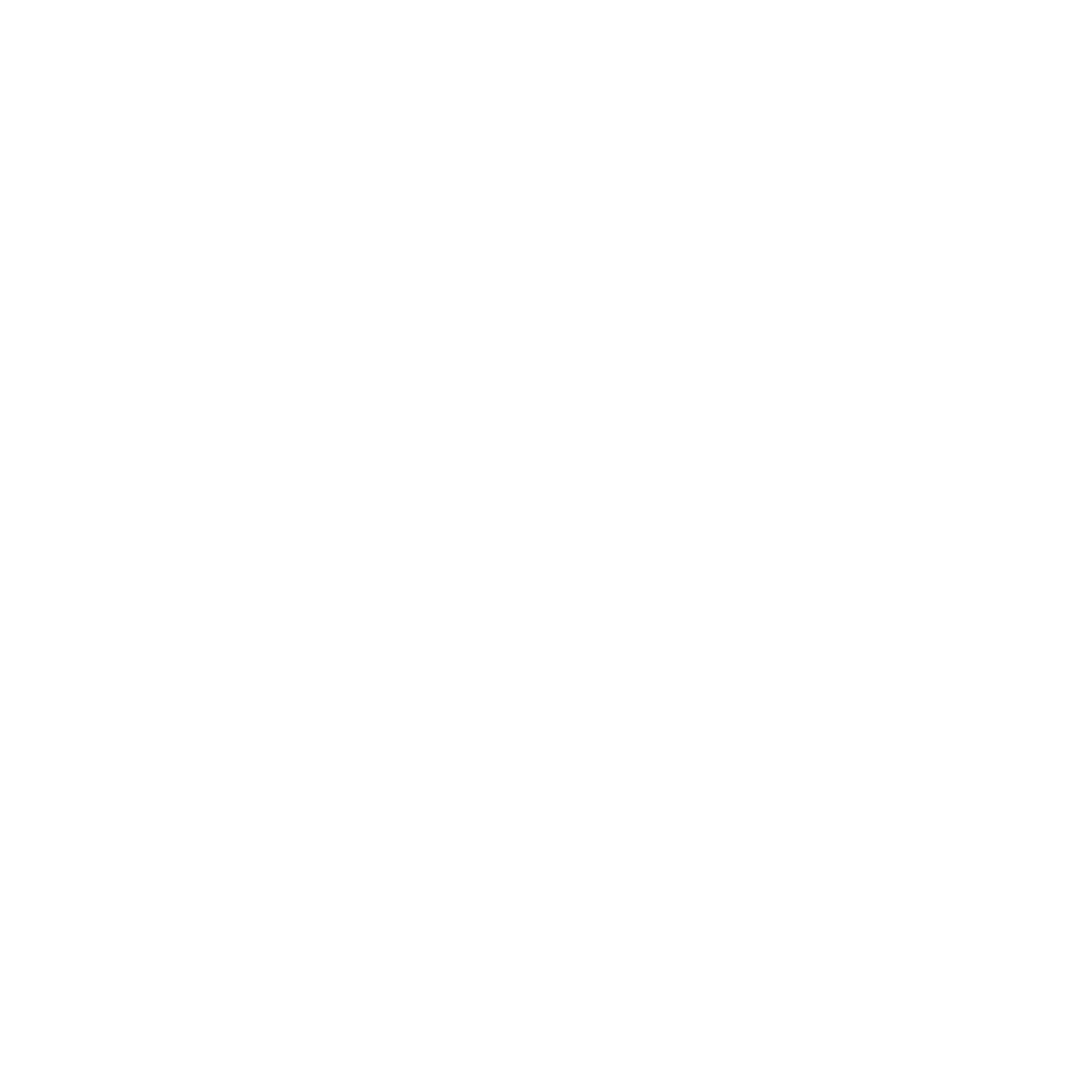 SSNSE Logo
